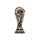 Чемпионат мира